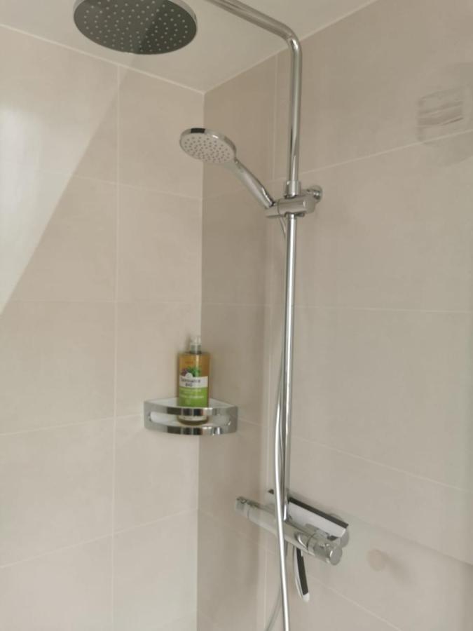 Canopee - Appartement - Hyper Centre Ville Quimper Dış mekan fotoğraf